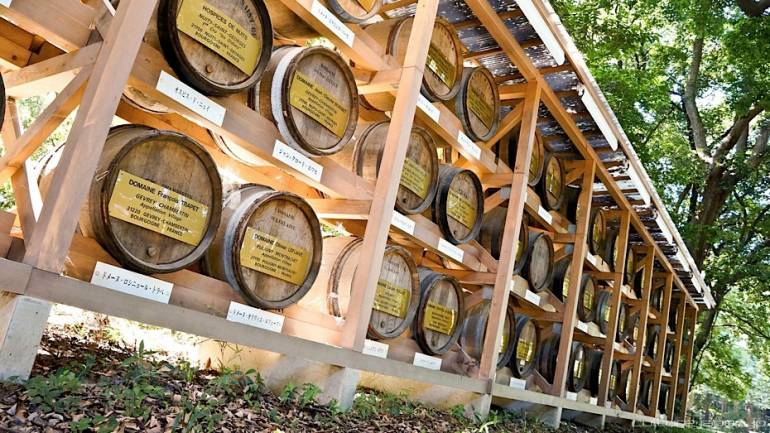 Wine at Meiji Jingu