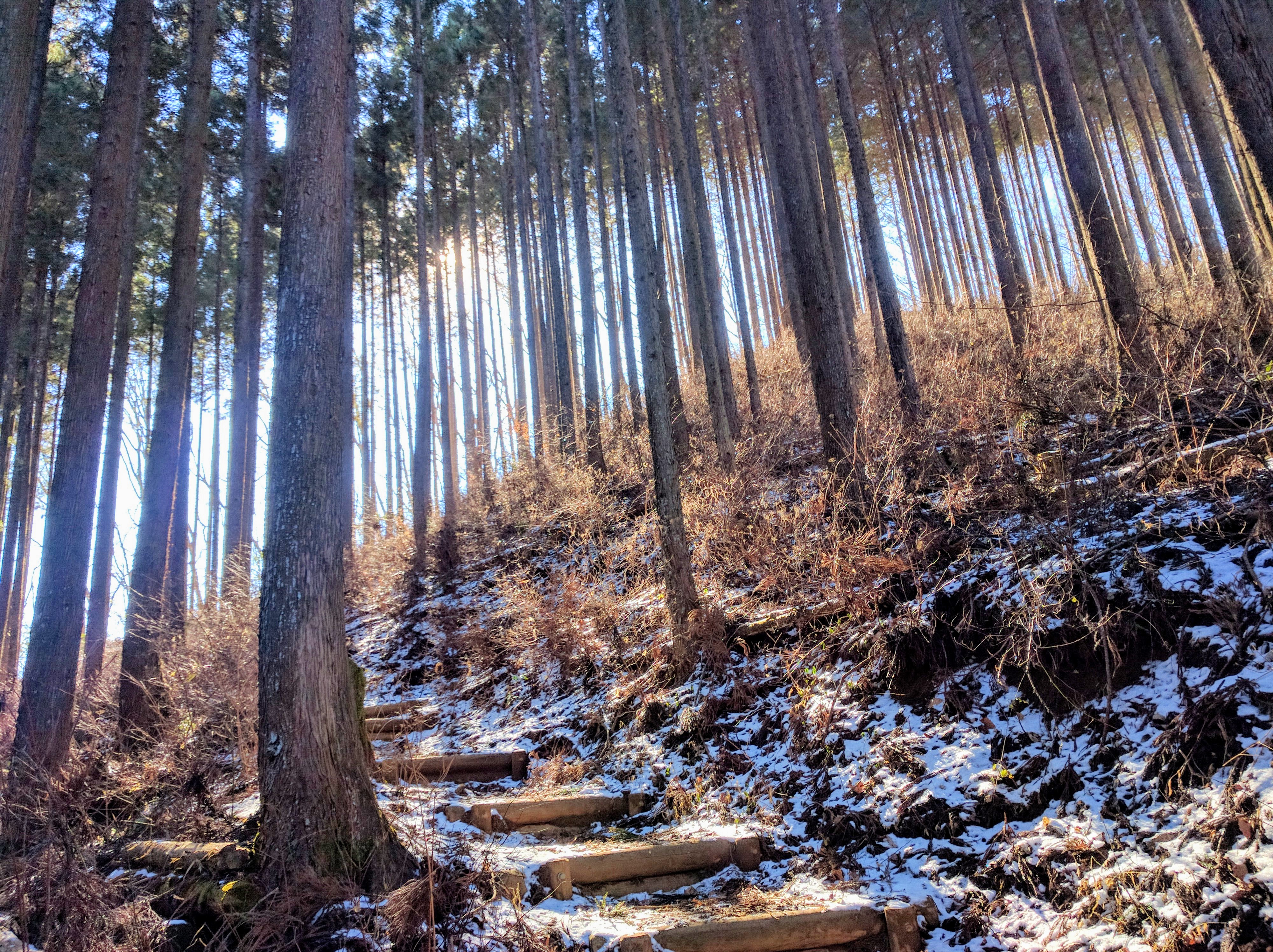 Tokyo Hiking Day Trip: Three Mountains, Stellar Views | Tokyo Cheapo