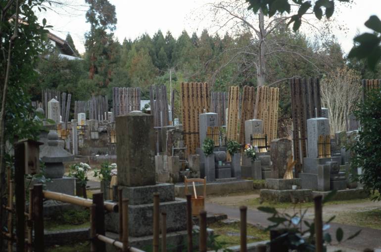 Tokyo Walking routes