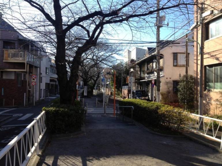 Tokyo Walking routes