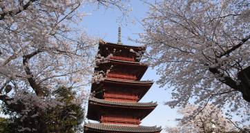 Honmonji Ota