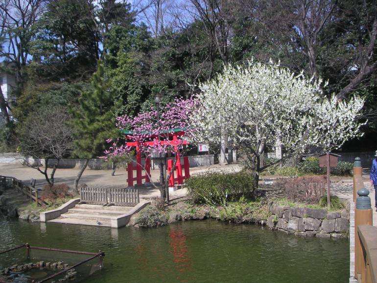 Senzokuike things to do in ota