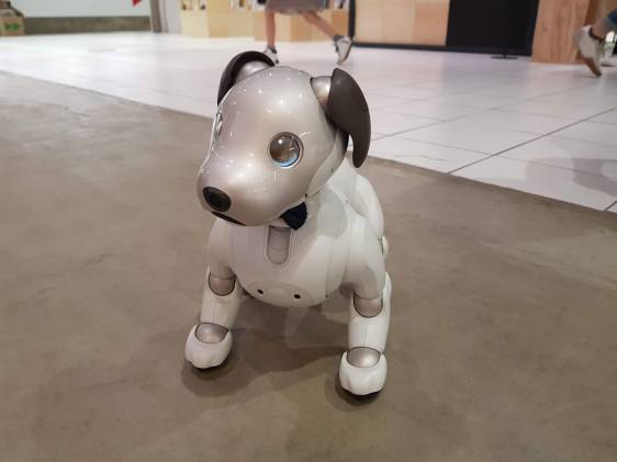 Aibo Sony Robot Dog