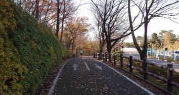 tokyo cycle routes
