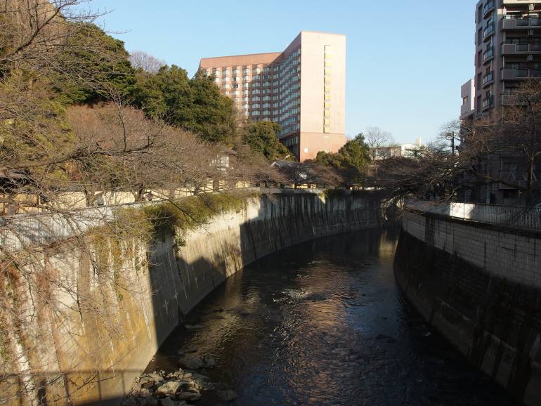 tokyo cycle