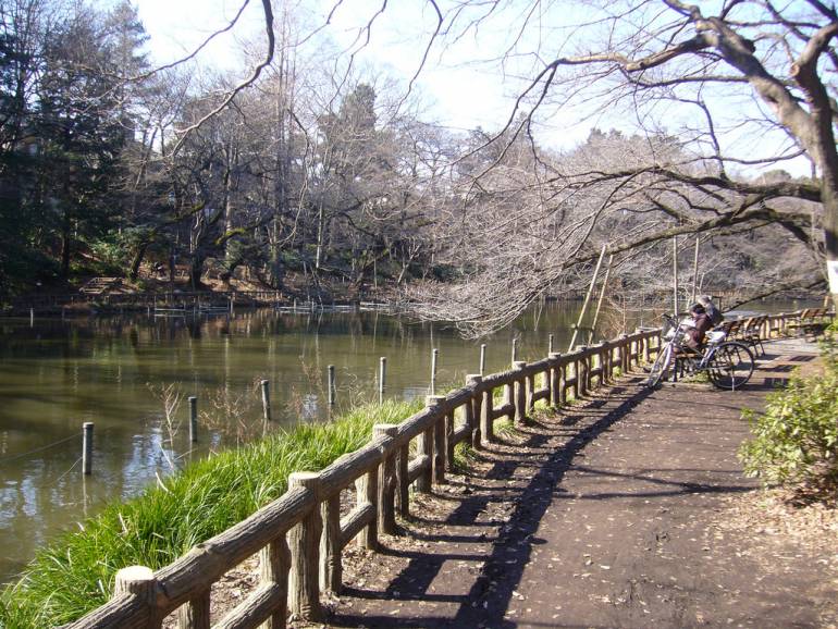 tokyo cycle