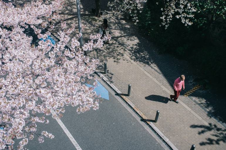 Roppongi Sakurazaka