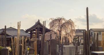 Yanaka Cemetery
