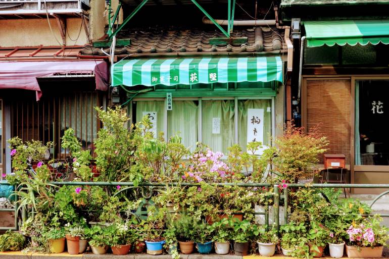 Yanaka Plants