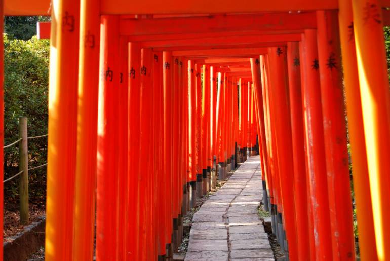 kyoto in tokyo
