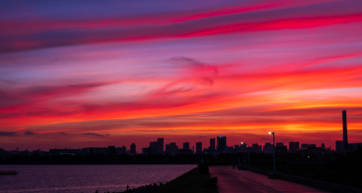 summer tokyo sunset