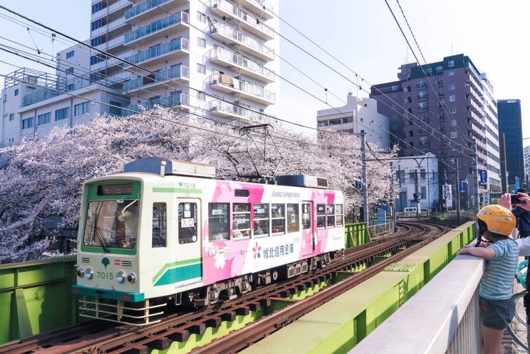 Toden Arakawa Line with sakura