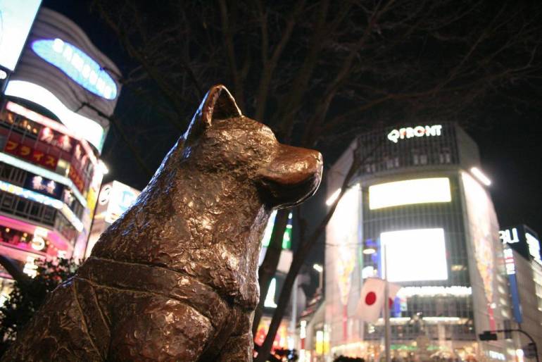 Hachiko