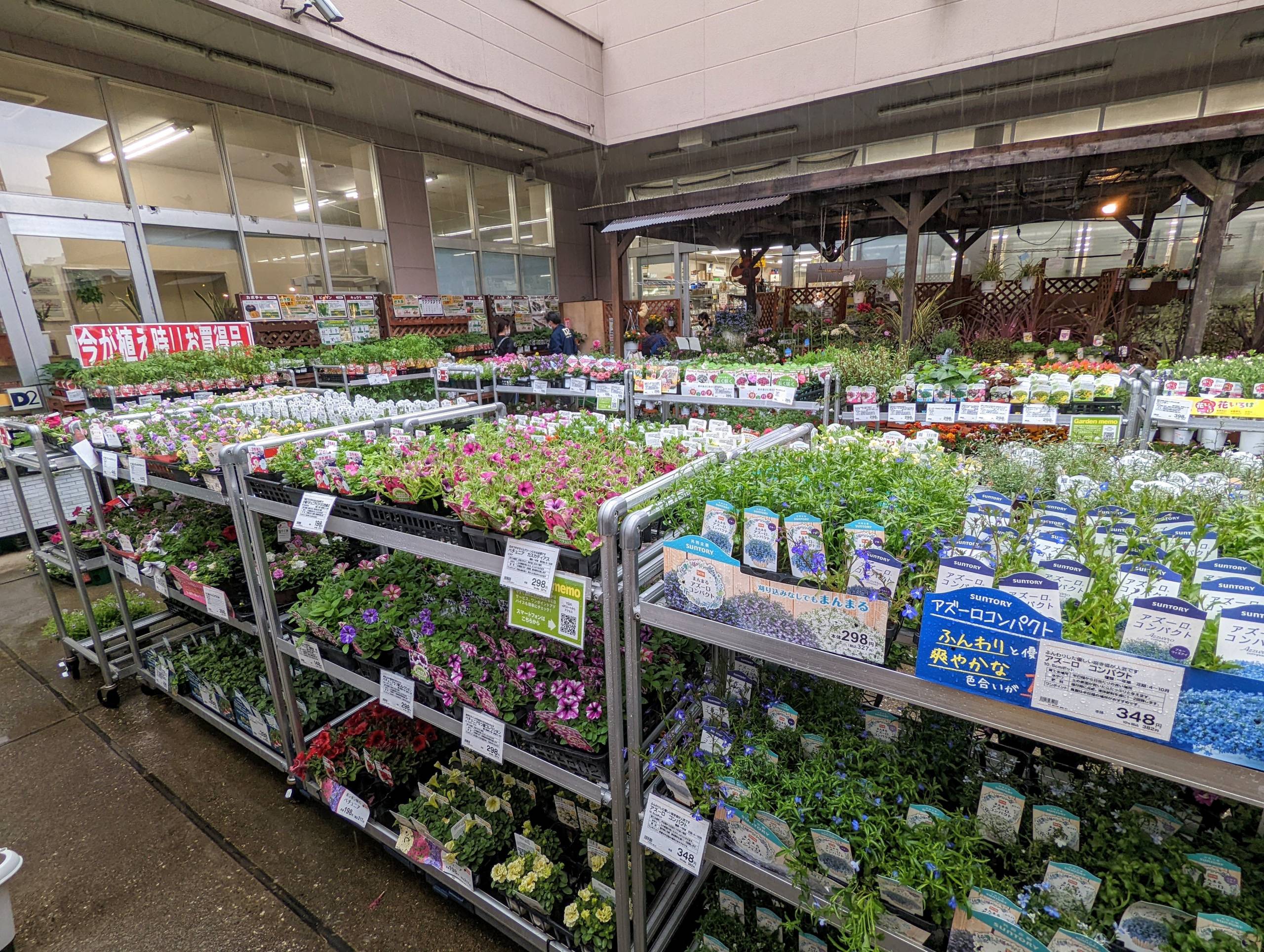 Dr.東京 hirop0803 TOKYO AUTO SALON 2025 1.10FRI▷11SAT▷12SUN in