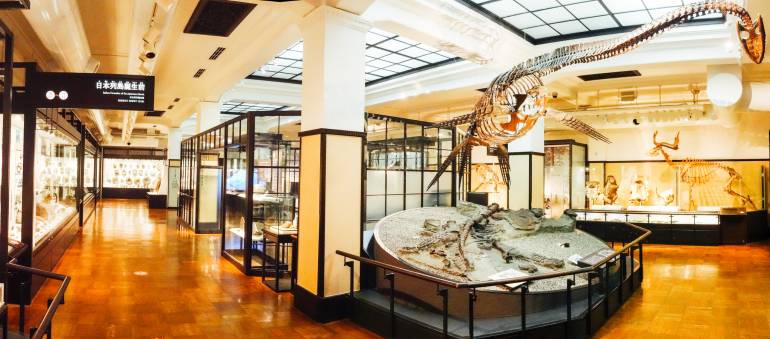 things to do in Ueno