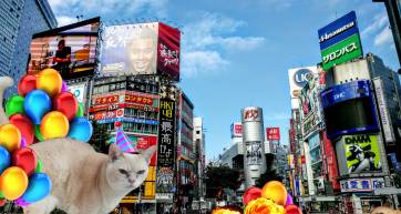 tokyo birthday