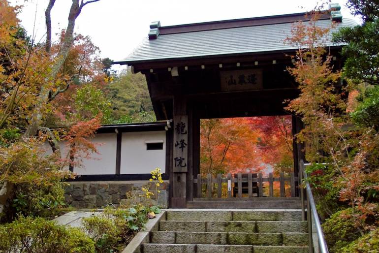 tokyo autumn
