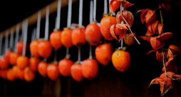 Persimmon dried