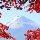 Tokyo bus tours to Fuji