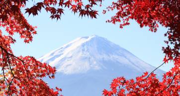 Tokyo bus tours to Fuji