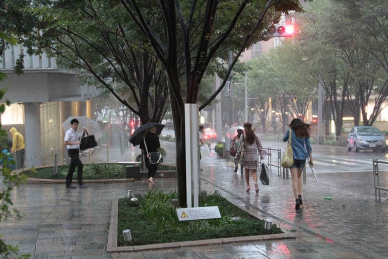 Typhoon Tokyo