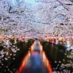 Nakameguro River