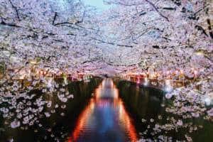 from　Nakameguro　to　Everywhere　Tour　’02-’ From Nakameguro To Everywhere Tour `02-`04 : Cornelius