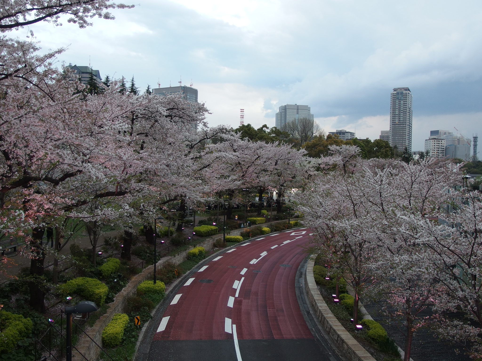 THREETHREE 限定 X02 SAKURA MIDTOWN 3D Calendar 2026 - Sakura Tree A - 3D Calendar