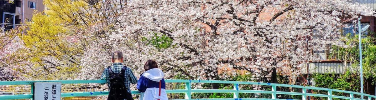 Itabashi Area Guide | Tokyo Cheapo