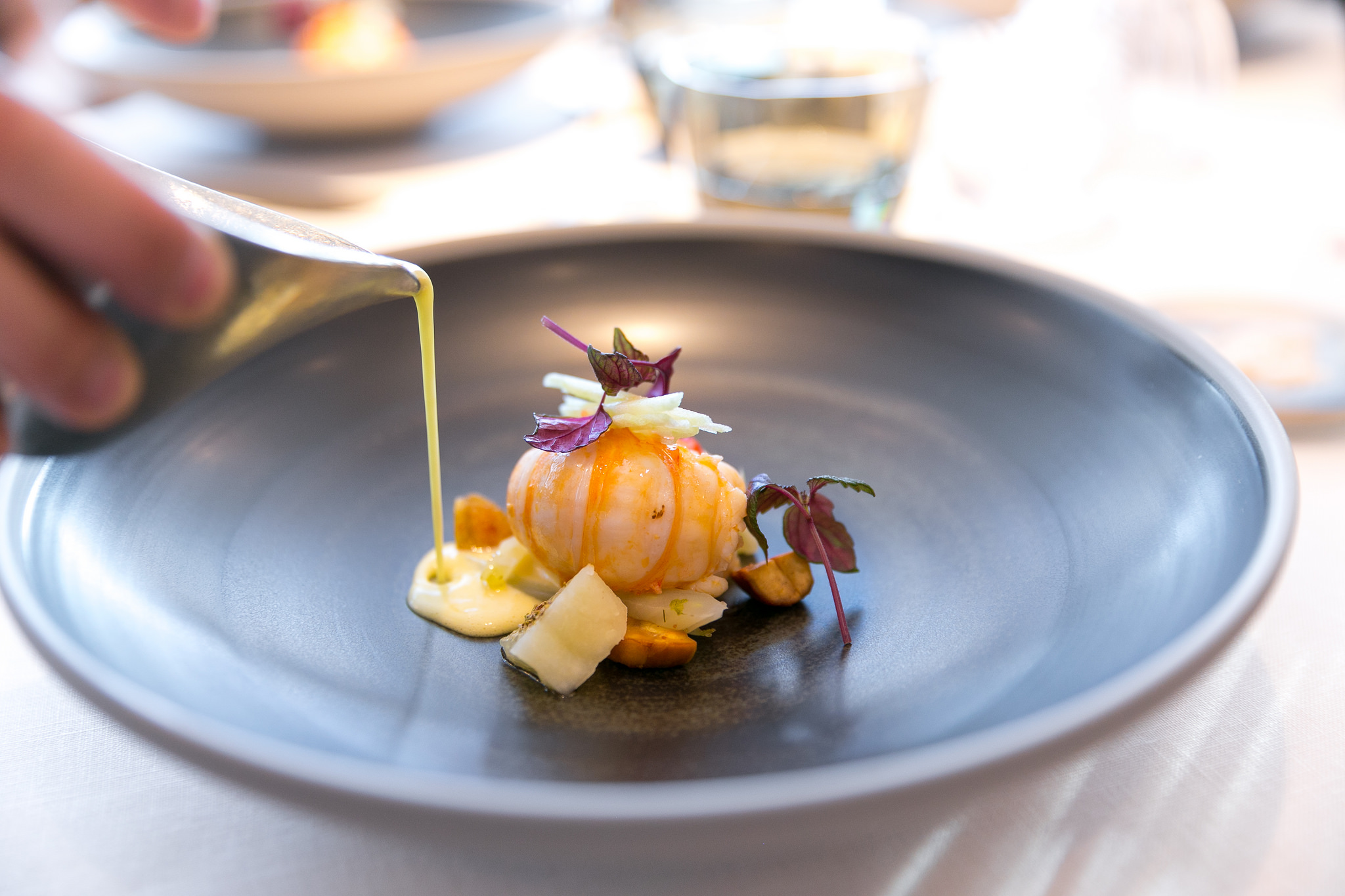 wildlife safari world tour