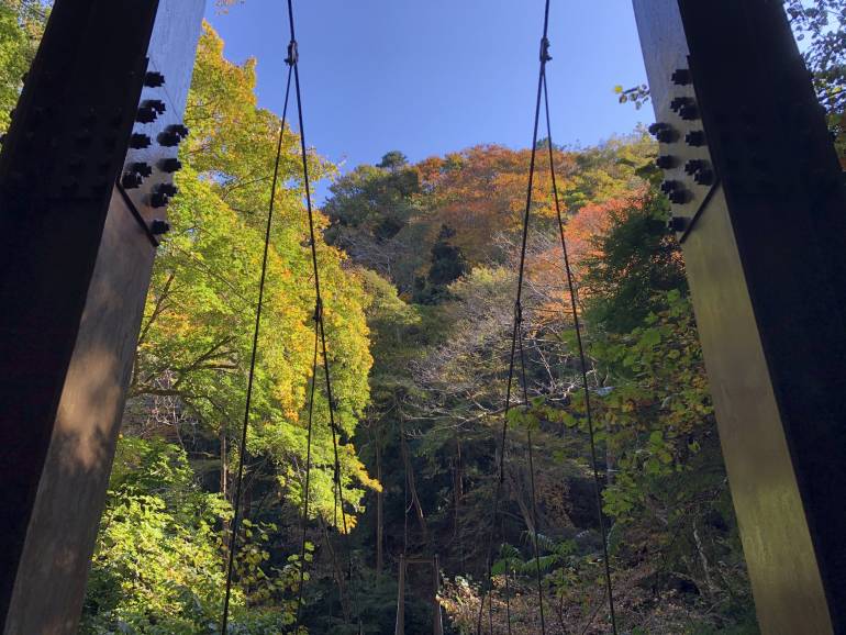 suspension bridge mt takao