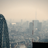 Free and Cheap Things to Do in Shinjuku