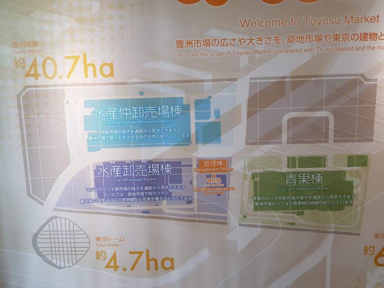 toyosu market map