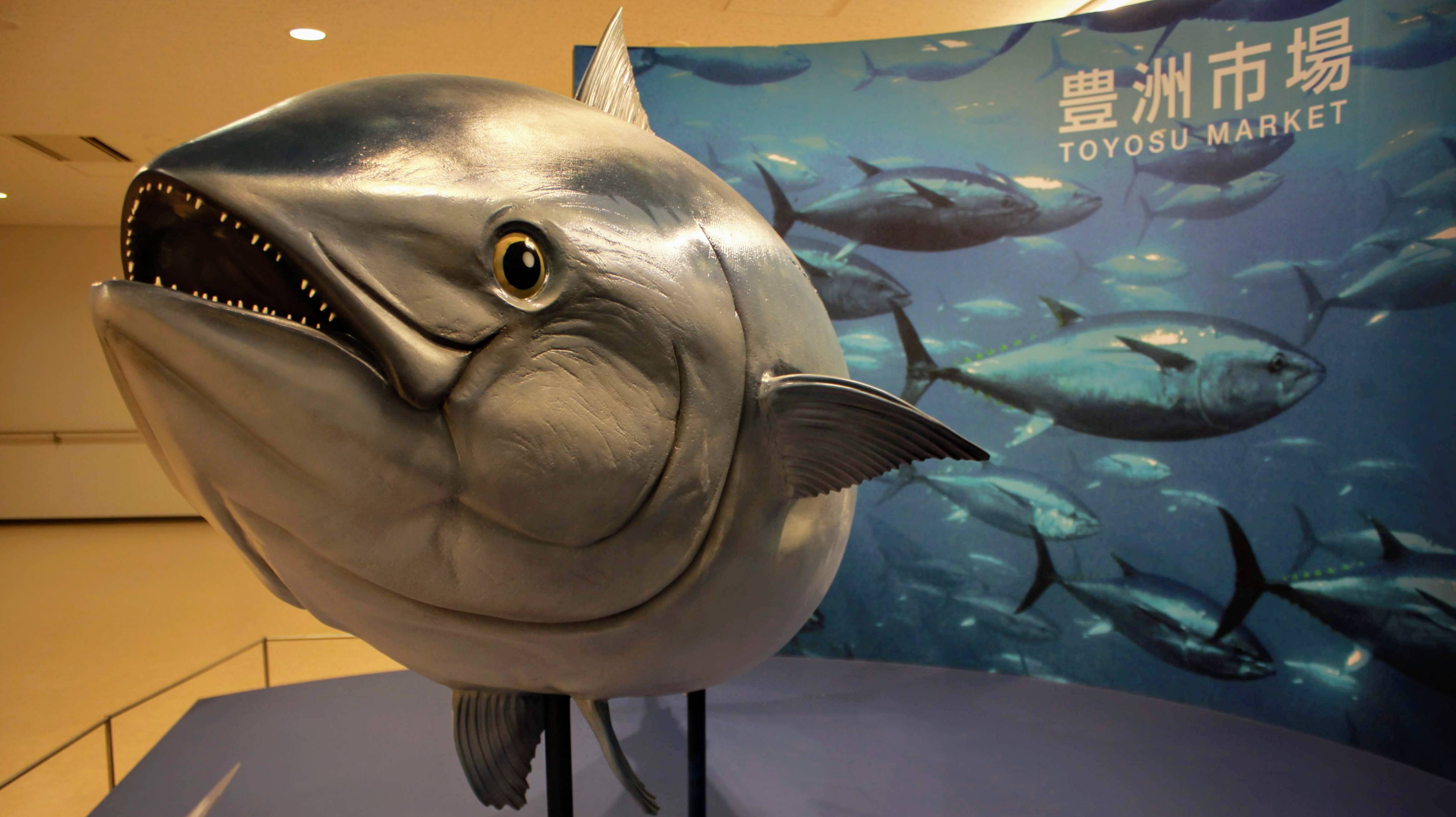 Toyosu Fish Market: Full Guide Including the Tuna Auction