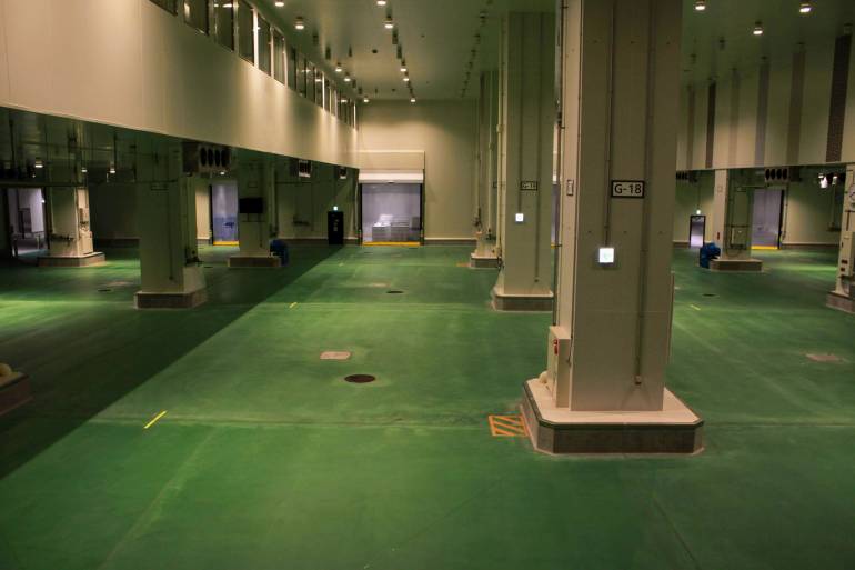 toyosu tuna floor