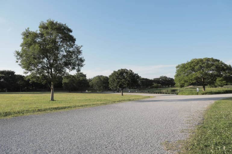 Musashinomori Park