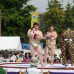 Naki Zumo Crying baby Festival