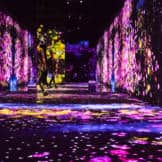 Mori building digital art museum - teamlab borderless