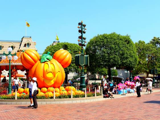 disneyland entrance halloween