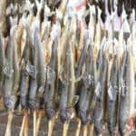 Grilled Fish Tokyo