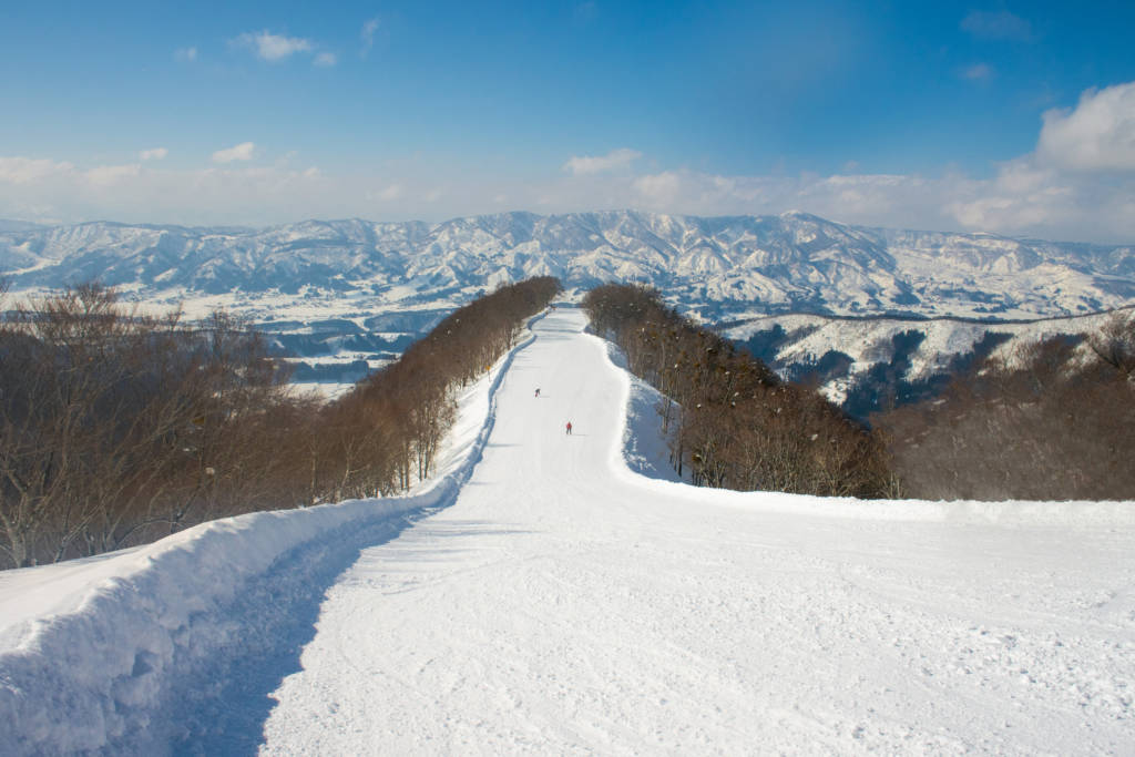 Japan Ski Resorts: How and Where to Hit 