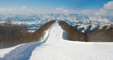 nozawa