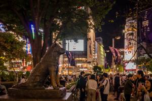 邦楽 SUMMER ROCKET / Gaming Hachiko SHIBUYA hachiko-shibuya-iStock-