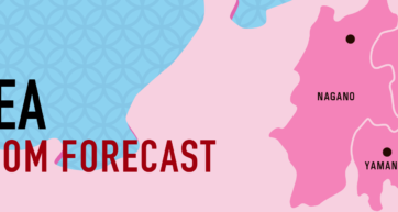 tokyo cherry blossom forecast