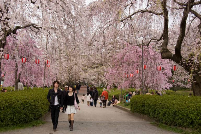 tohoku travel