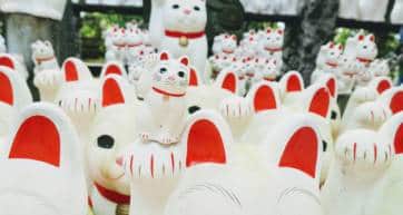 Gotokuji Maneki neko