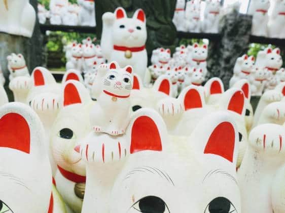 Gotokuji-Maneki-neko--562x421.jpg