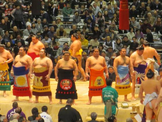 sumo on stage facing crowd