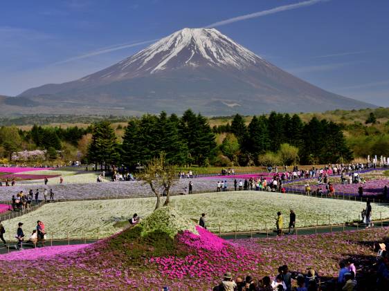 fuji bike price list