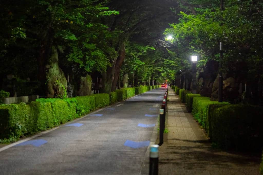 Aoyama cemetery at night
